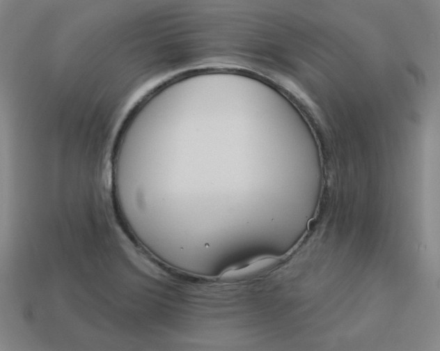 X0000113531372200910091214