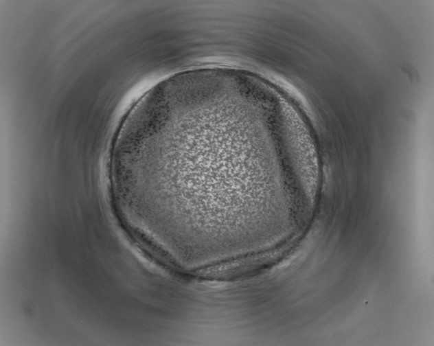 X0000113531373200910091214