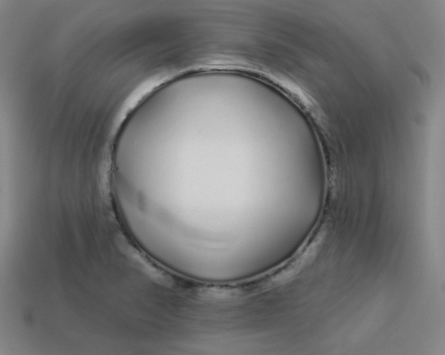 X0000113531374200910091214