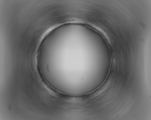 X0000113531375200910091214