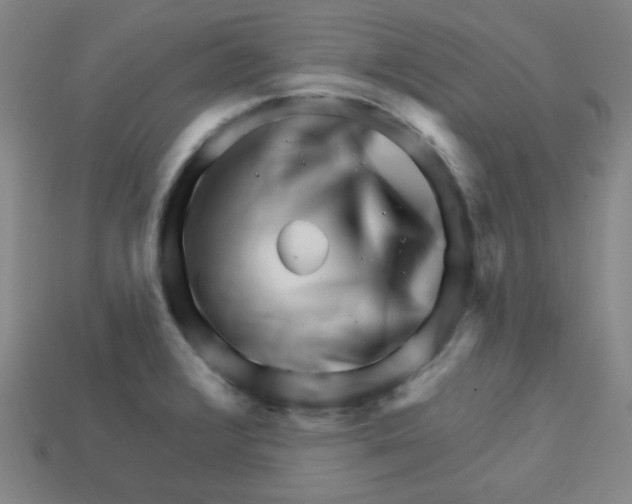 X0000113531376200910091214