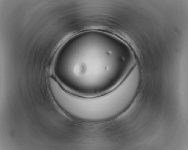 X0000113531377200910091214