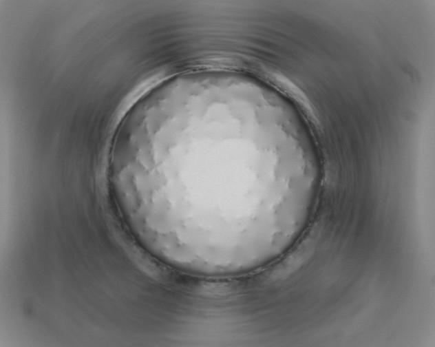 X0000113531378200910091214