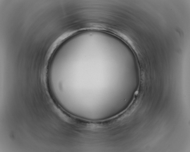 X0000113531379200910091214