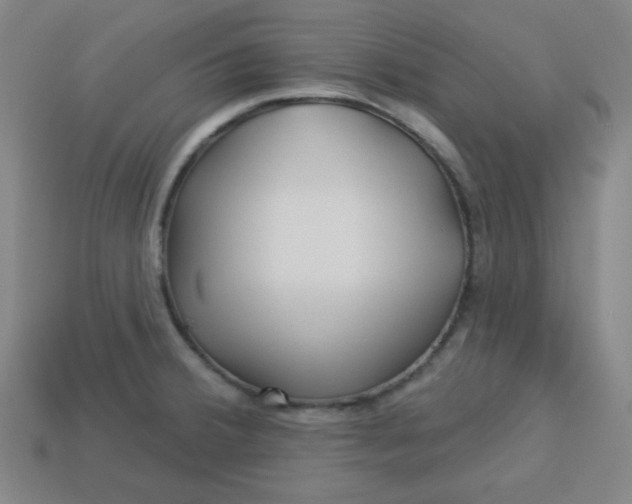 X0000113531380200910091214