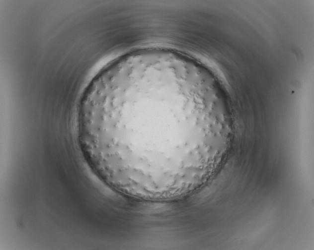 X0000113531382200910091214