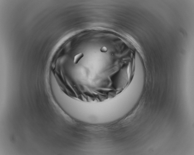 X0000113531384200910091214