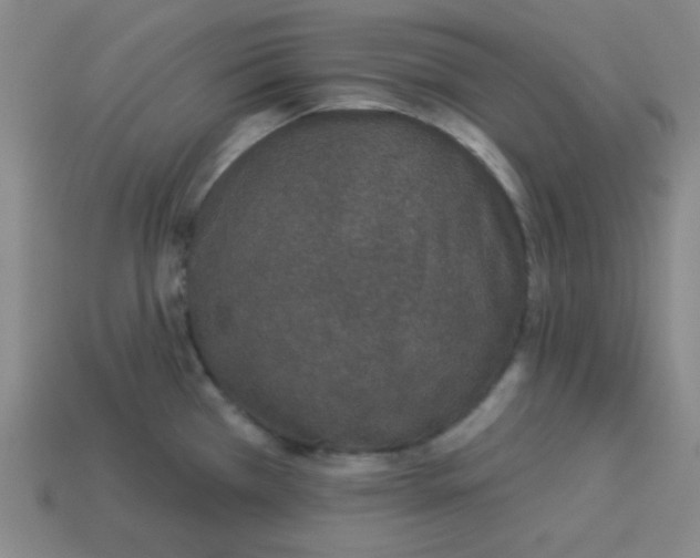 X0000113531385200910091214