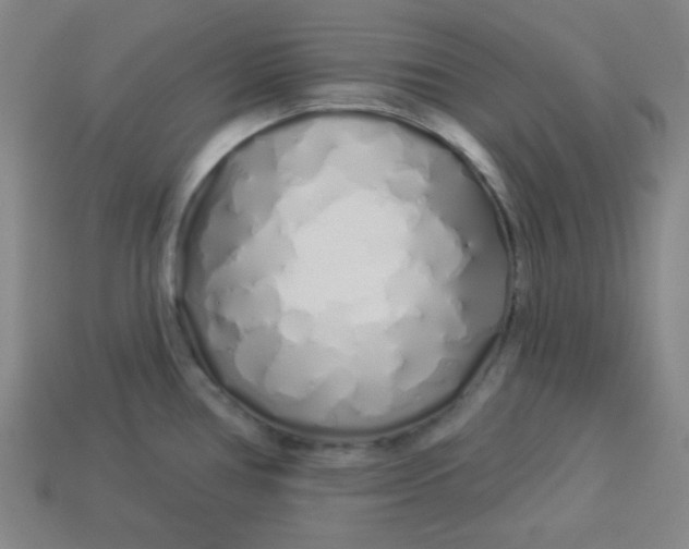 X0000113531386200910091214