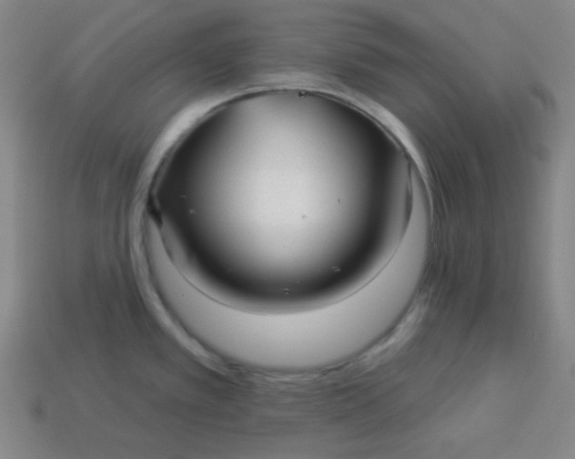 X0000113531389200910091214