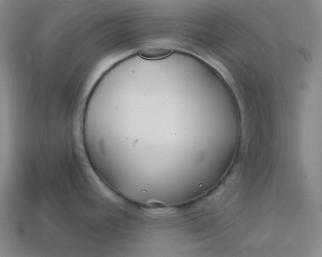 X0000113531392200910091214