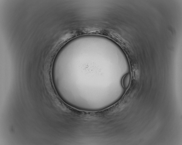 X0000113531393200910091213