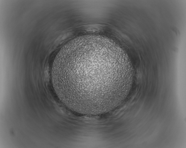 X0000113531394200910091213