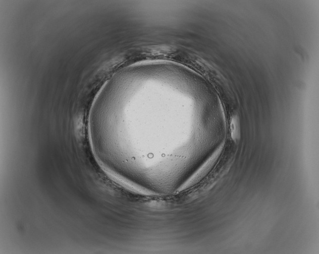 X0000113531395200910091213