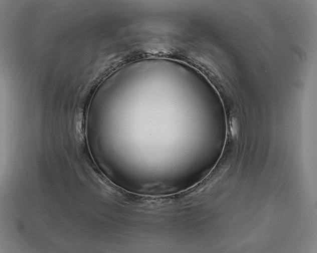 X0000113531396200910091213