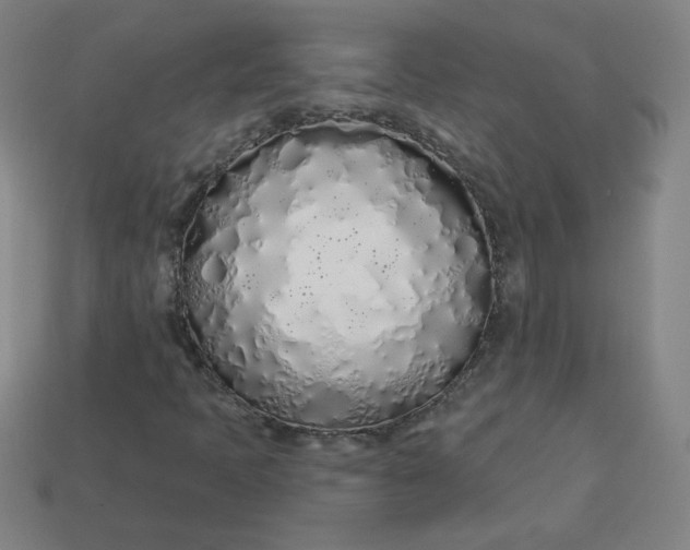 X0000113531397200910091213