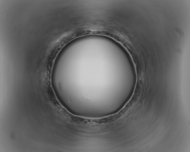 X0000113531398200910091213