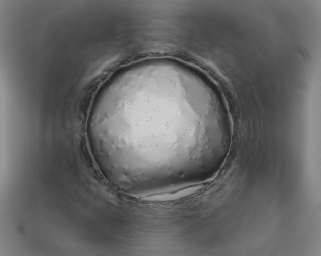 X0000113531399200910091213