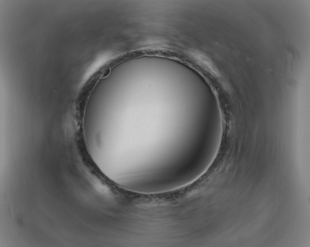 X0000113531400200910091213