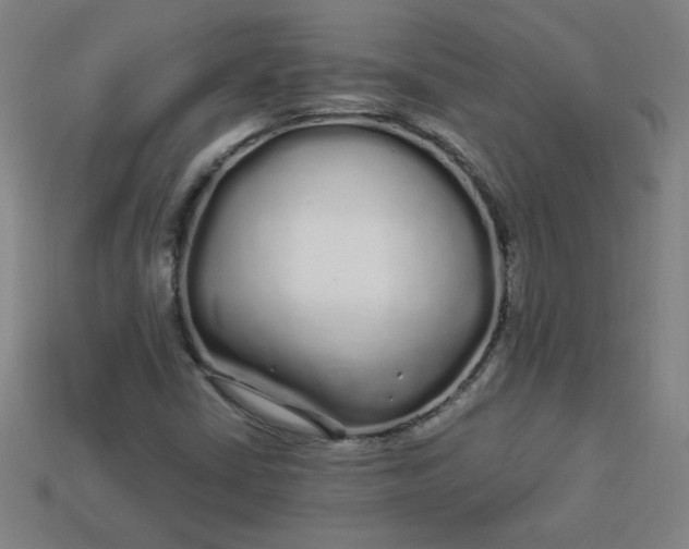 X0000113531402200910091213