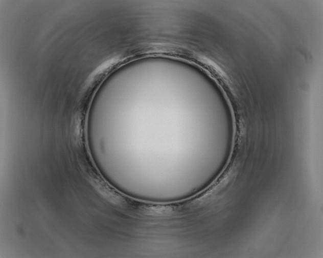 X0000113531403200910091213