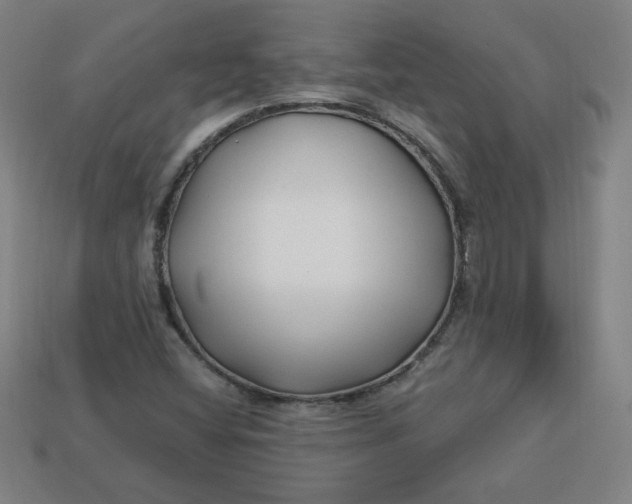 X0000113531404200910091213