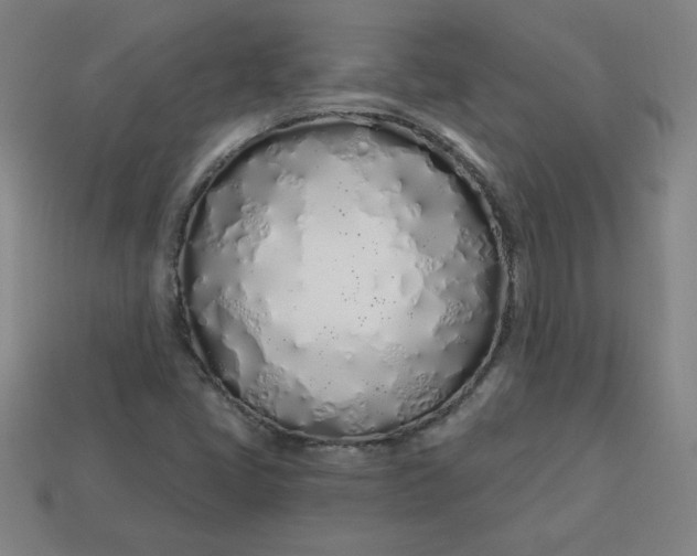 X0000113531405200910091213