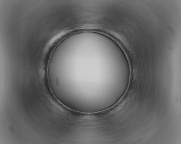 X0000113531406200910091213