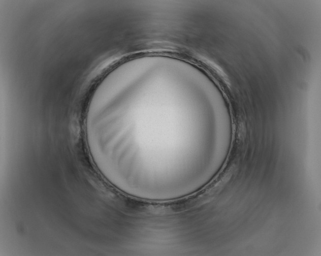 X0000113531407200910091213