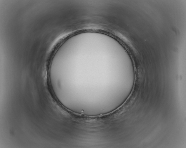 X0000113531408200910091213