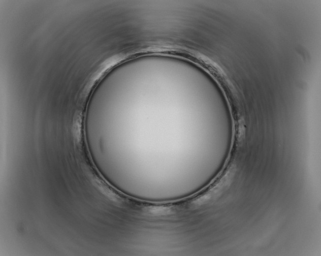 X0000113531409200910091213