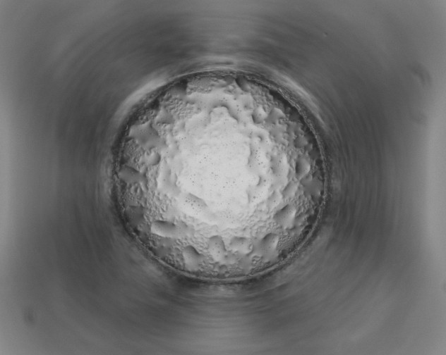 X0000113531411200910091213