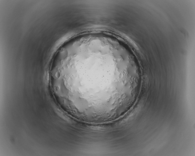 X0000113531413200910091214