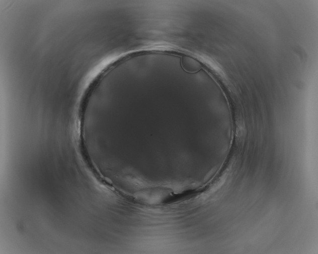 X0000113531414200910091214