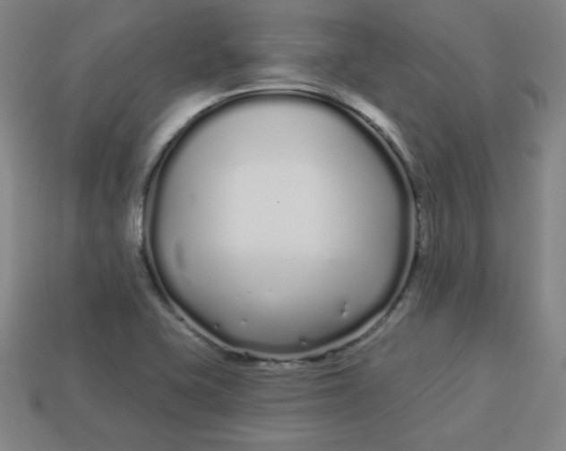 X0000113531415200910091214