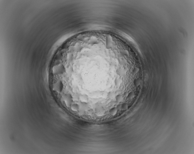 X0000113531419200910091214