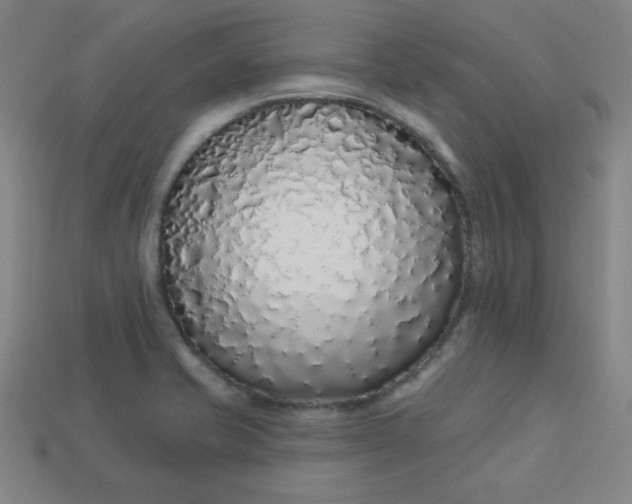 X0000113531421200910091214