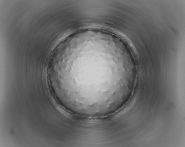 X0000113531425200910091214