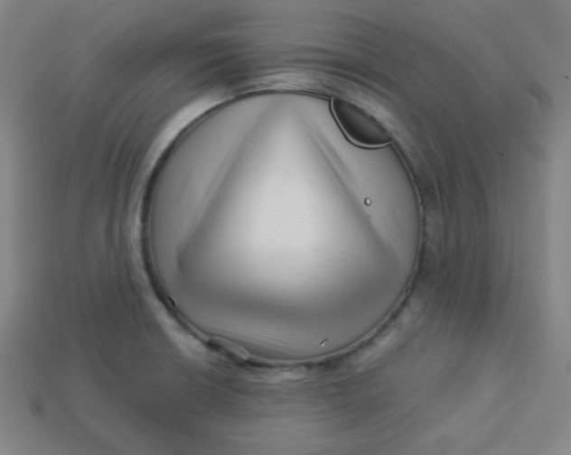 X0000113531426200910091214