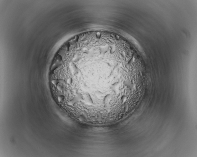 X0000113531427200910091214