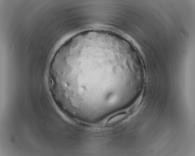 X0000113531429200910091214