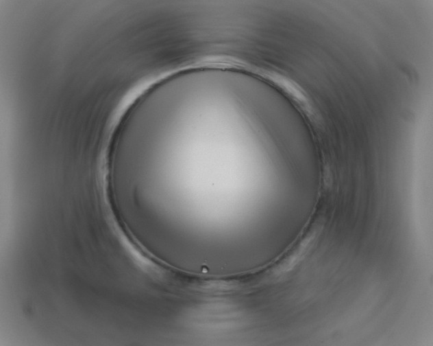 X0000113531430200910091214