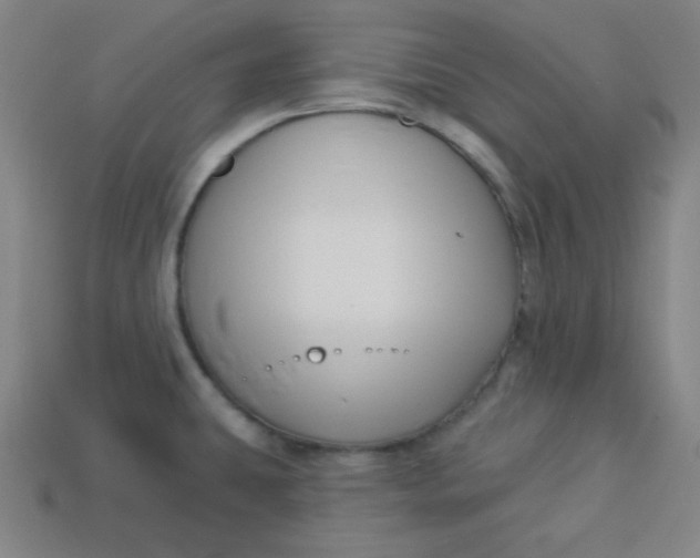 X0000113531431200910091214