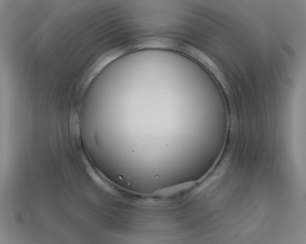 X0000113531433200910091214