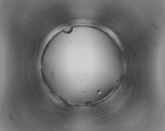 X0000113531435200910091214