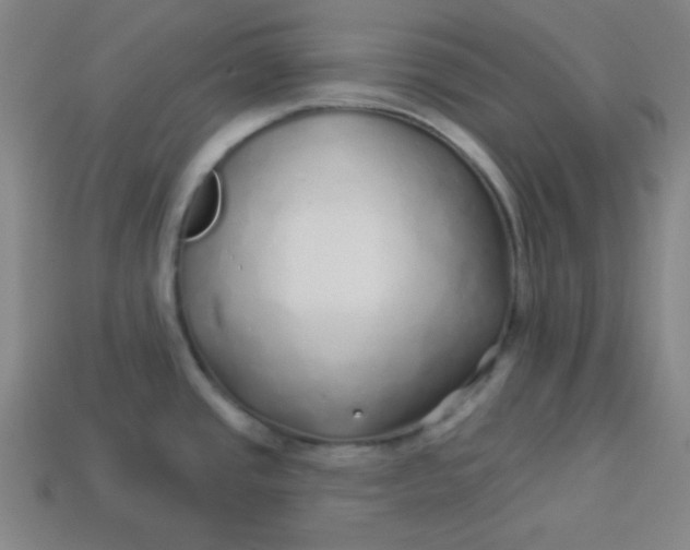 X0000113531437200910091214