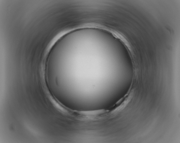 X0000113531438200910091214