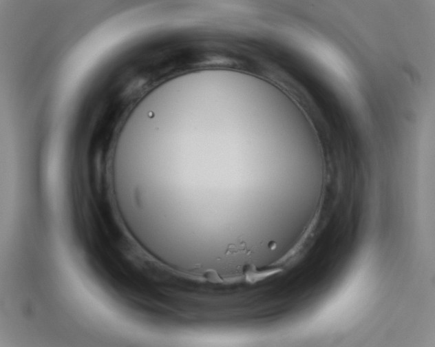 X0000113531439200910091214