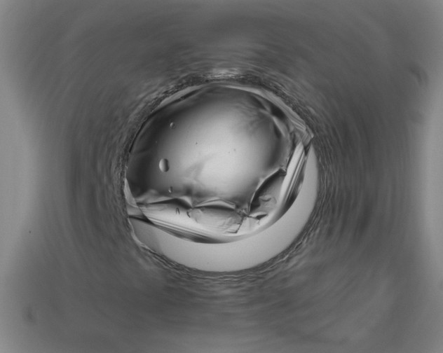 X0000113531441200910091213