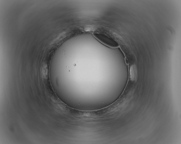 X0000113531443200910091213